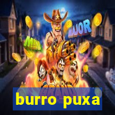 burro puxa